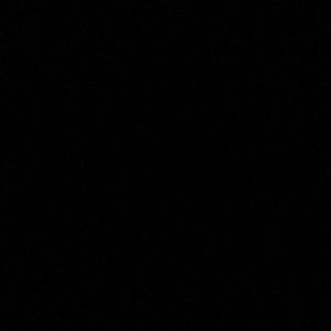 Meet your Posher, Lexi